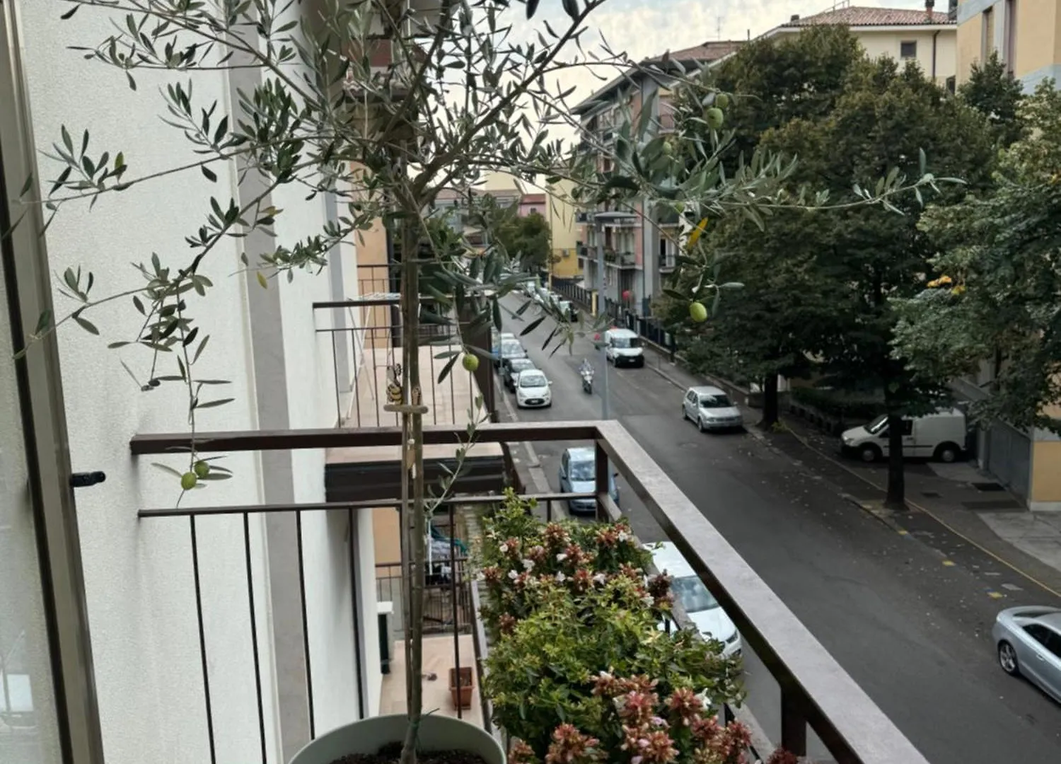 Apartment Verona Green Harmony Italy